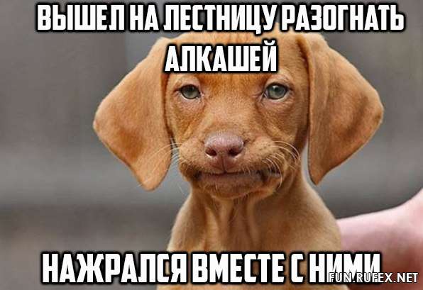 Когда решил вынести мусор