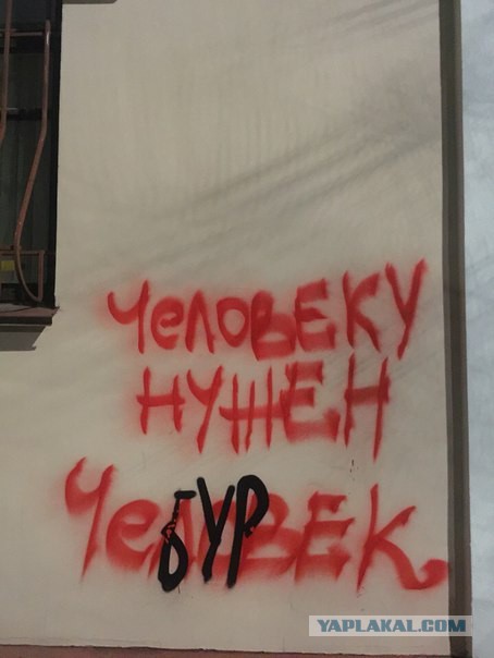 Картинки