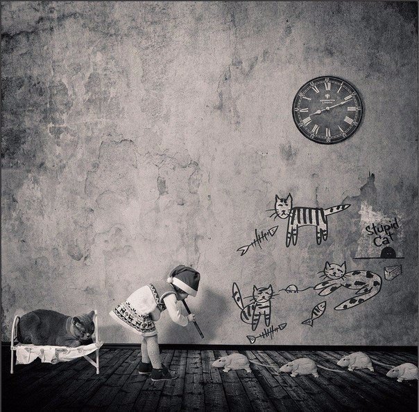 Подборка картинок на среду