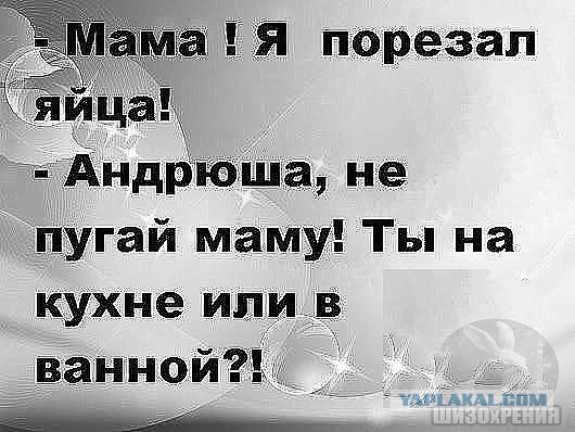 Картинки для поднятия настроения - 4