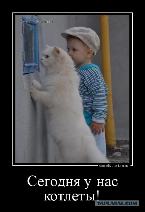 Котлета