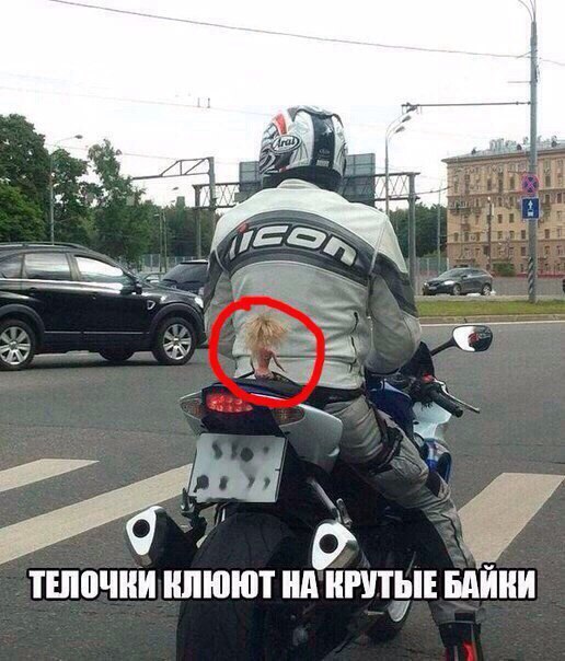 Ужасы и приколы из соцсетей 18+