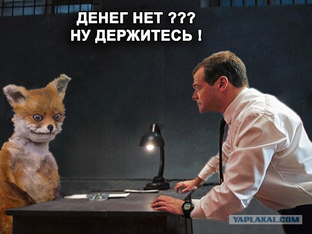 Неплохой задел для фотожабы