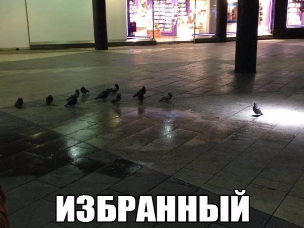 Подборка интересных и смешных картинок