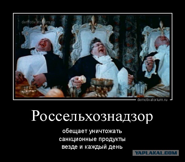Наши рекорды: уничтожено 9000 тонн еды