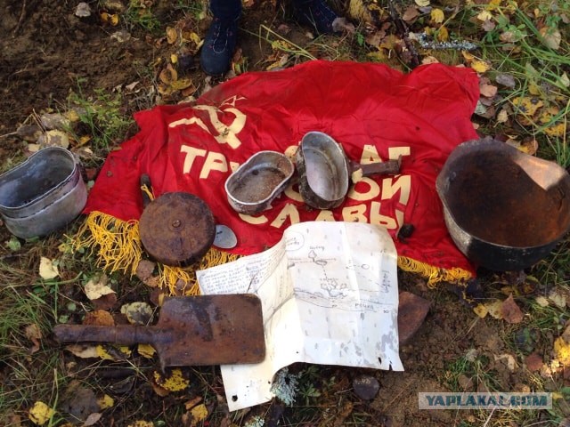 Как мы нашли клад или приключения экспатов в Карелии