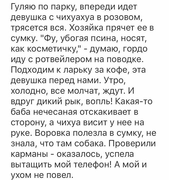 Смешные комментарии из социальных сетей