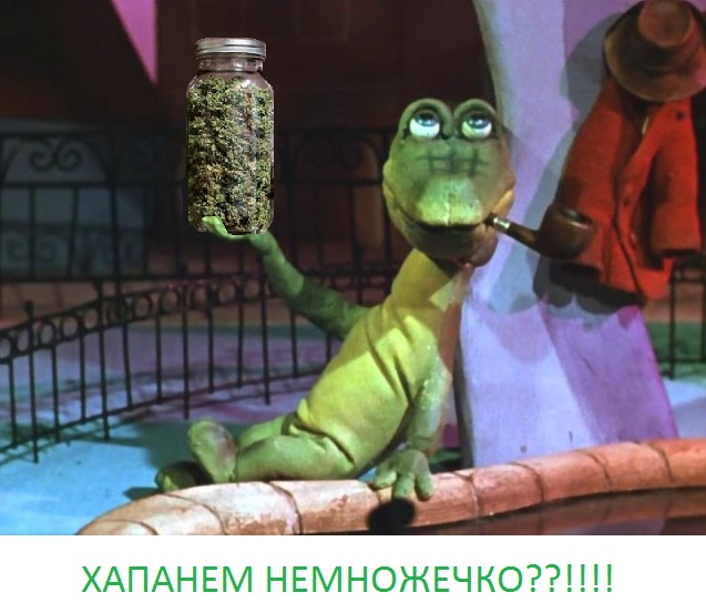 Тайна крокодила Гены