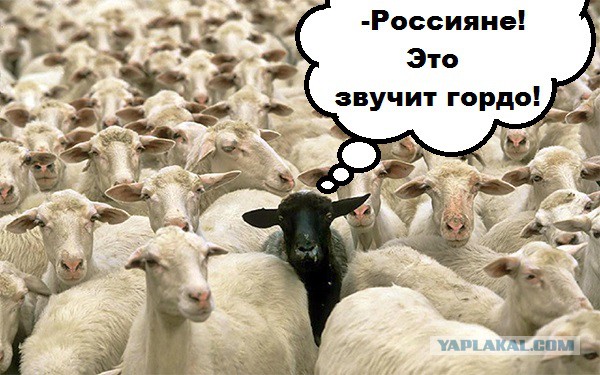 Сбербанк выплатил своим топ-менеджерам 5,1 млрд рублей за 2017 год