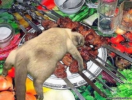 Подборка картинок. Забавных, прикольных - разных!