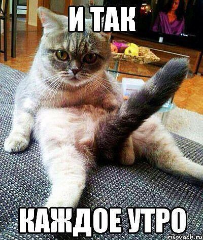Подборка интересных и веселых картинок