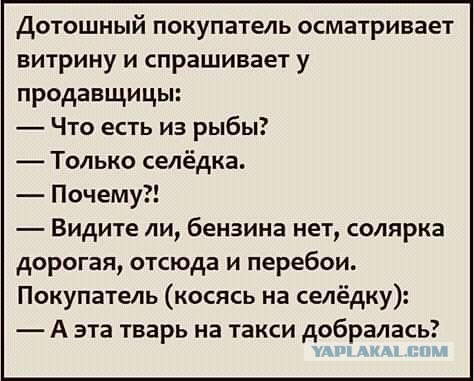 Смешные комментарии из социальных сетей 30.11.2018