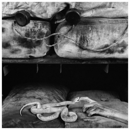 Безумие Roger Ballen.