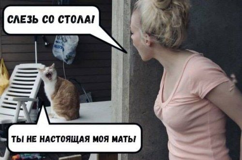 Чуток картинок! 11.08.19