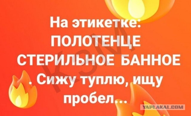 Дурная голова рукам покоя не дает - девочка с арбузом. Картинок на пятницу