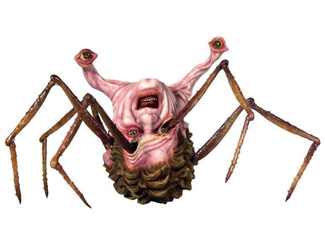 Грибы