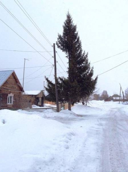 Это уже ни в какие ворота...