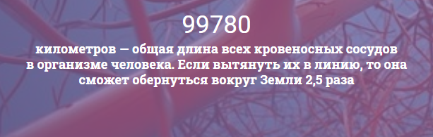 А вдруг вы не знали