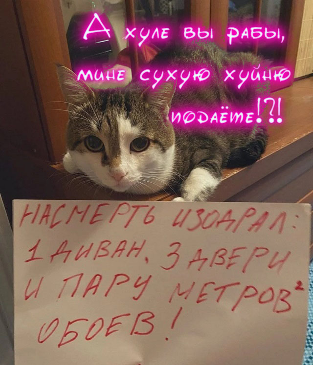 Картинки с надписями и всякие жизненные фразы