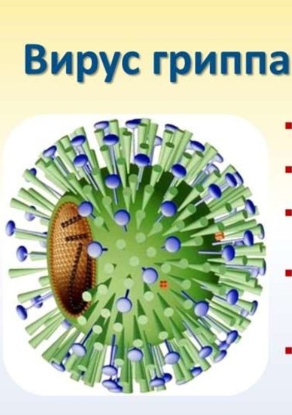 Борьба России с коронавирусом запахла безумием