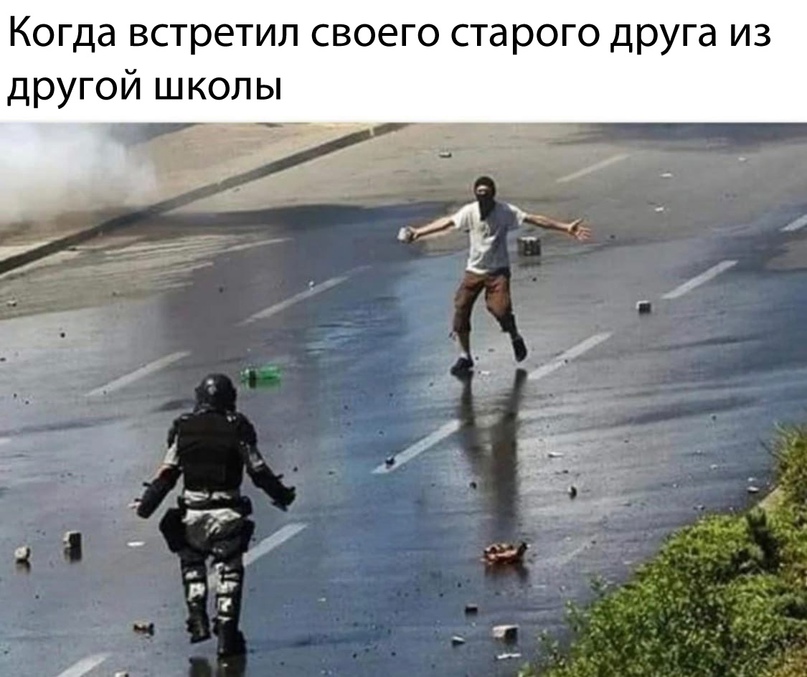 15579022.jpg