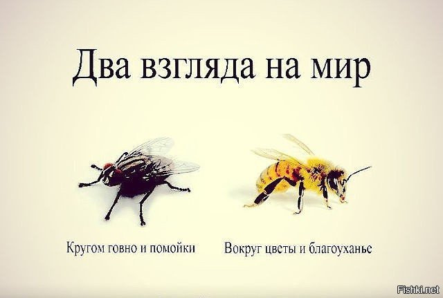 Неужели это надо каждый раз каждой разжевывать?!..