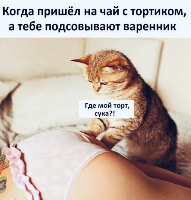 Картинки и мемы для настроения - 21