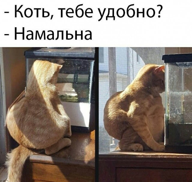 Картинки 04.07.22