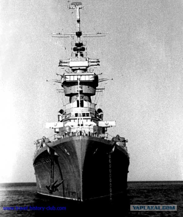 Они живут только 40 лет