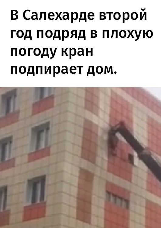 Так себе картинки 26.07.22
