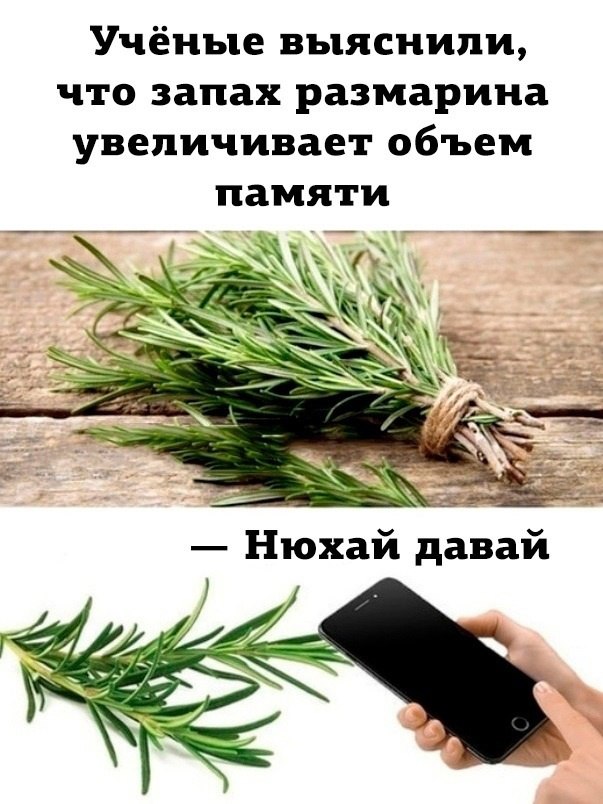Так себе картинки 09.09.22