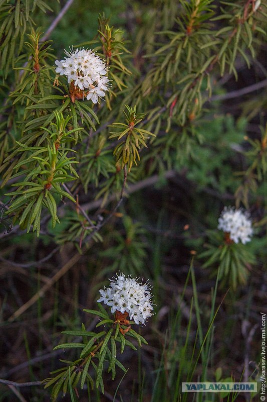 Водный поход по Карелии