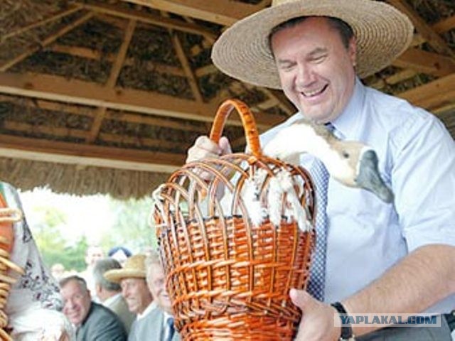 Экс-президент Финляндии на пенсии