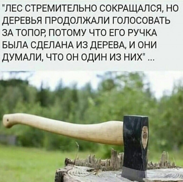 Прикольные баяны