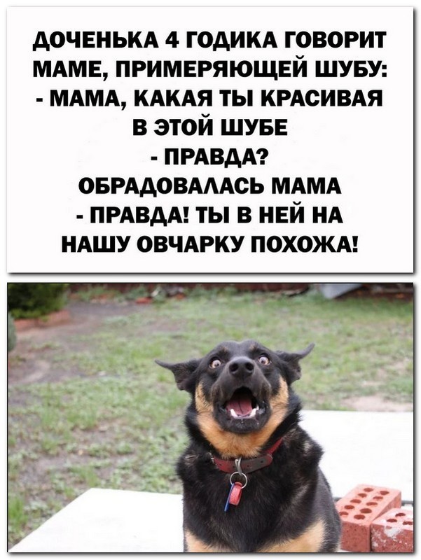 Анекдоты и шутЯПки с картинками