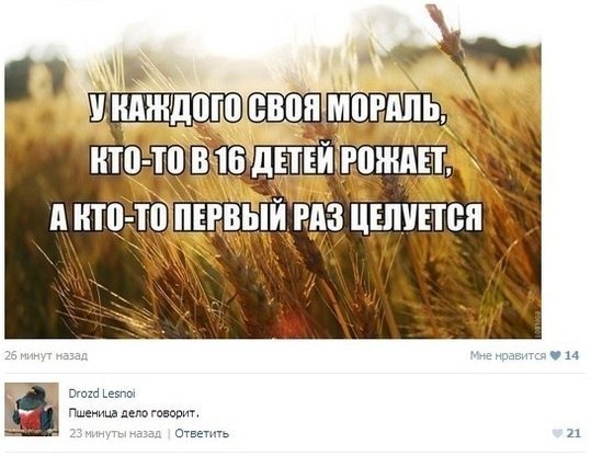 ТРРРидцать тРРРи от 21 мая