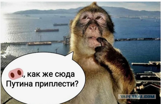В Японии одинокие пожилые люди стали совершать мелкие нарушения, чтобы попасть в тюрьму