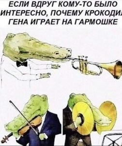 Так себе картинки 15.02.25