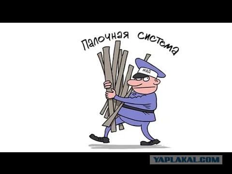 В Петербурге уроженки Дагестана избили палками старшего лейтенанта полиции.