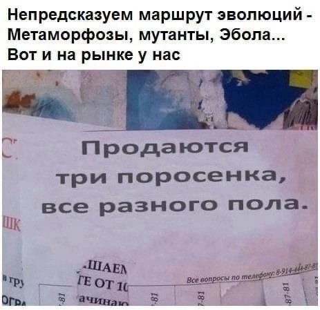 Так себе картинки 28.03.25
