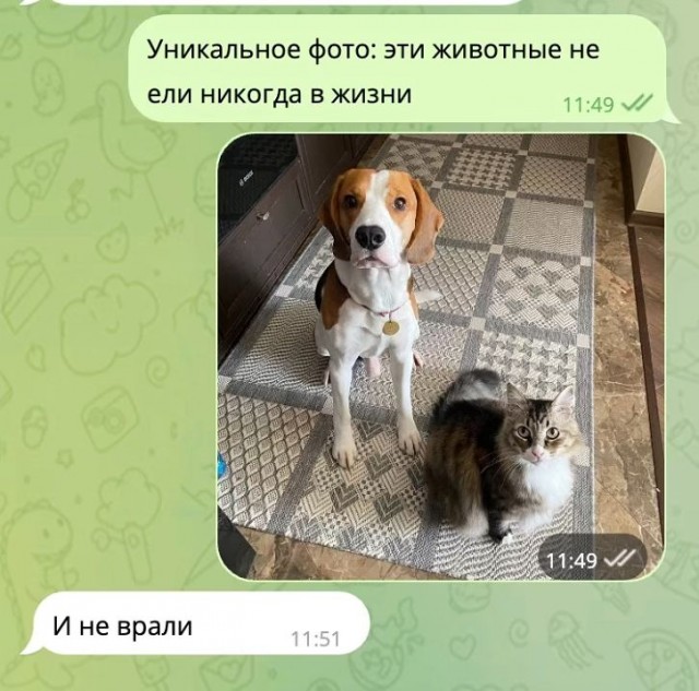 Так себе картинки 23.06.25