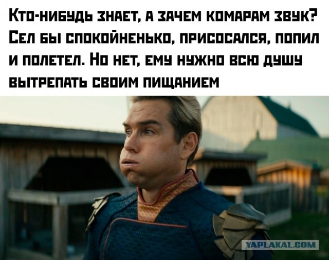 Весёлый полтишок 22.08.25