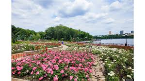 Цена бензина в ЛНР