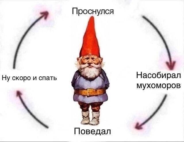 Картинки для деградации 100 (разной степени свежести)