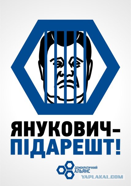 Беркут пошел на штурм