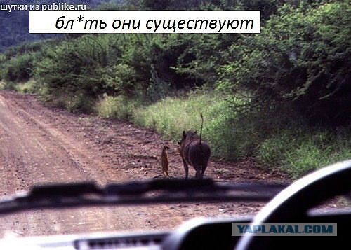 Тема для юмора