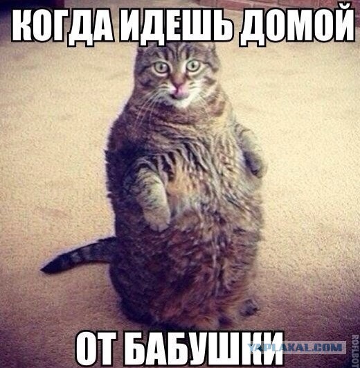 Немного позитива на пятницу.