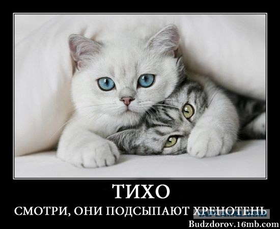 Чёрт, чёрт, чёрт!