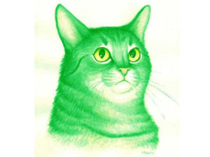 Плюсомет со шпалометом