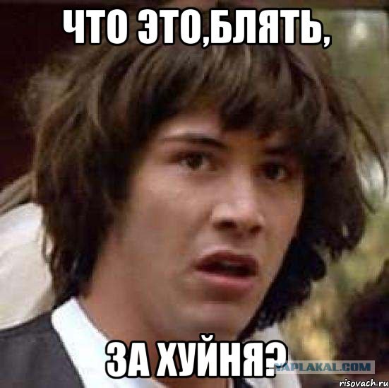 Эйприл за рулём. Бедный Микеланджело...